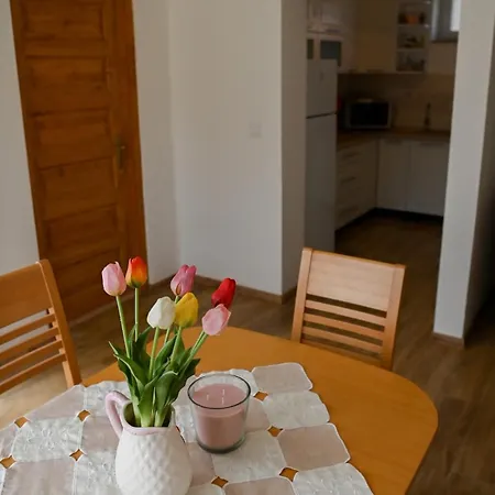Vakantiehuis Dezsa-vu Vendeghaz *