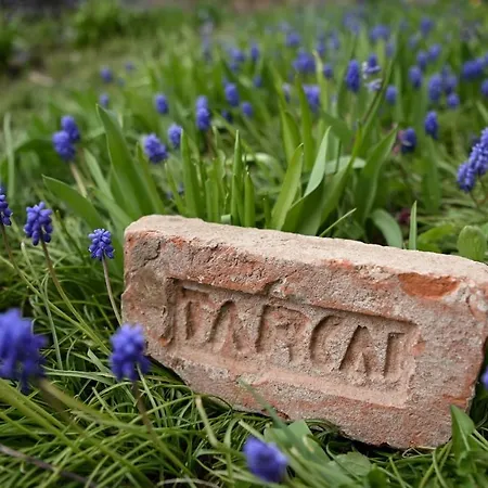 Dezsa-vu Vendeghaz Tarcal