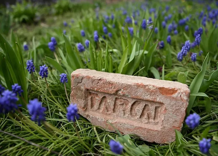 Dezsa-vu Vendeghaz Tarcal