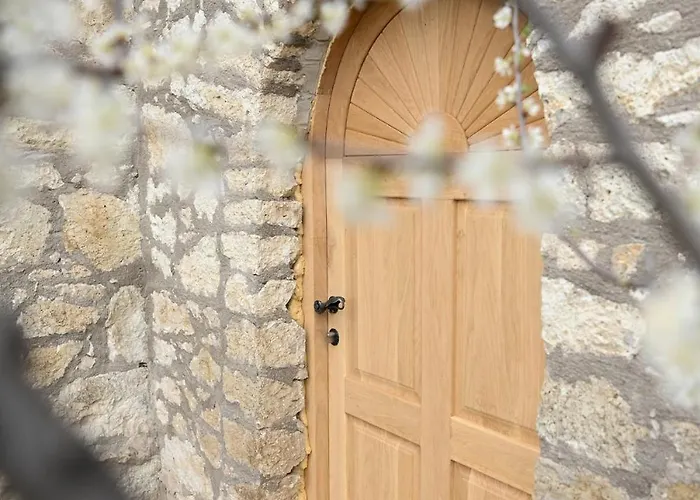 Dezsa-vu Vendeghaz *