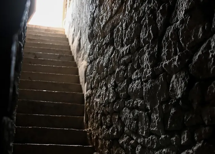 Dezsa-vu Vendeghaz Tarcal